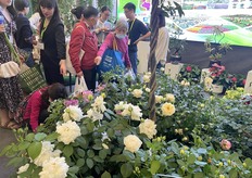 The audience took pictures of the difference roses and other flowers on display.